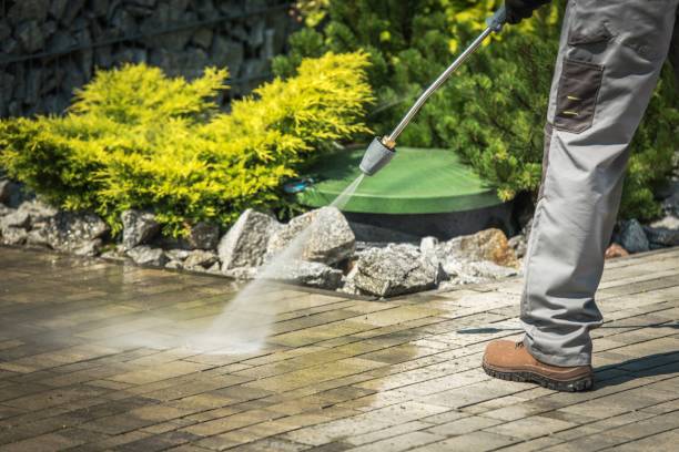 Best Animal Enclosure Cleaning  in Mattituck, NY