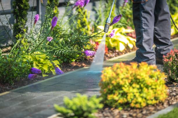  Mattituck, NY Pressure Washing Pros
